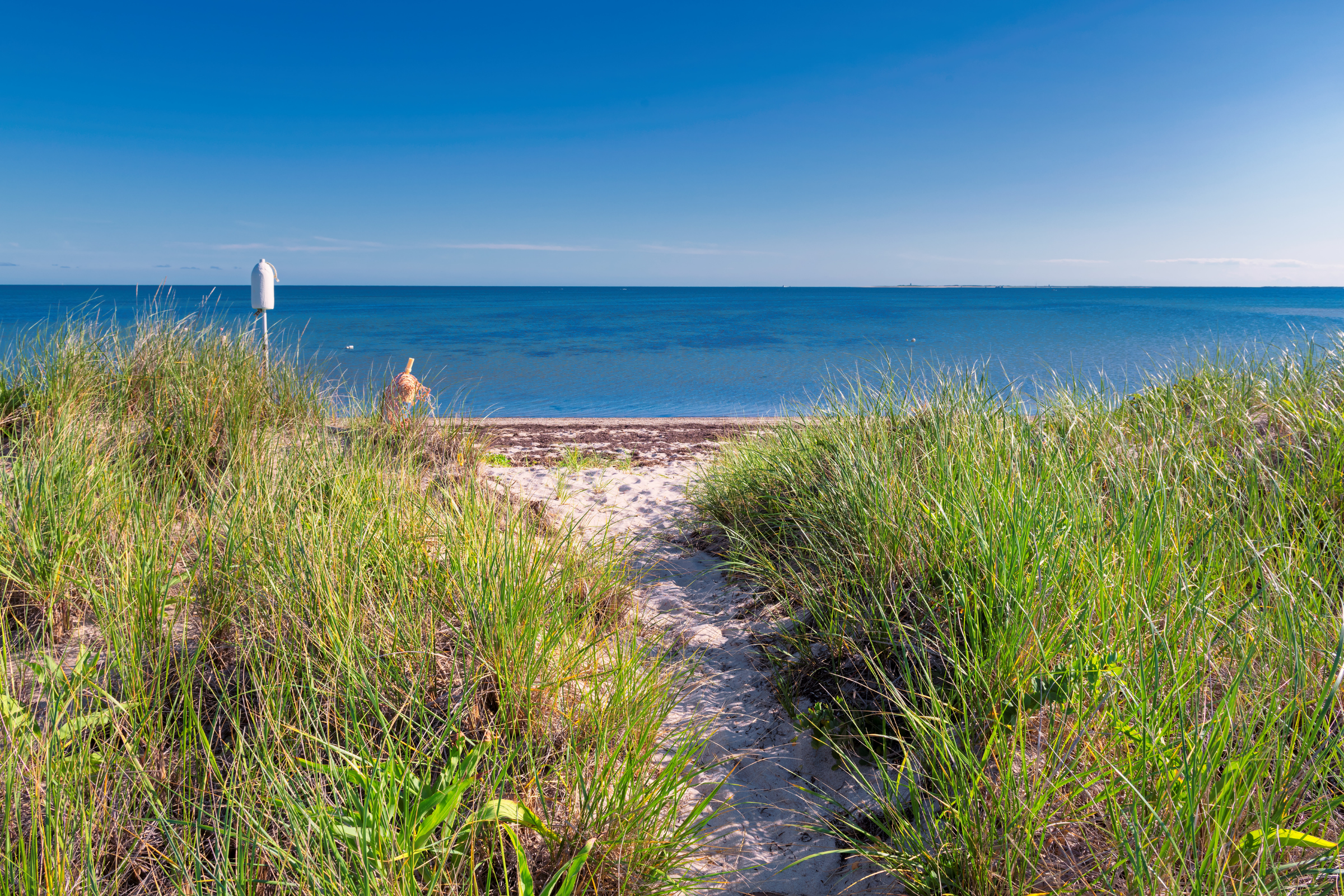 cape cod, massachusetts (3).webp
